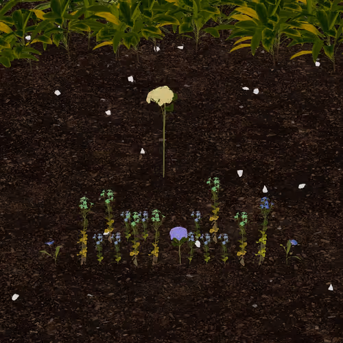 Token Garden