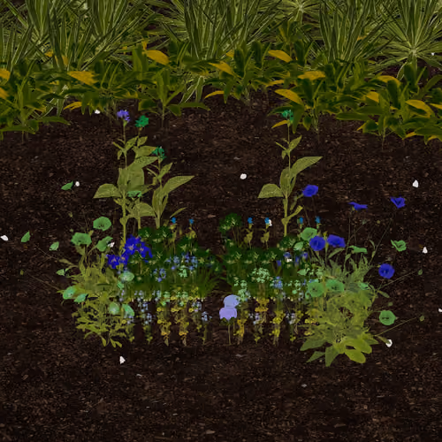 ktray.eth's Token Garden