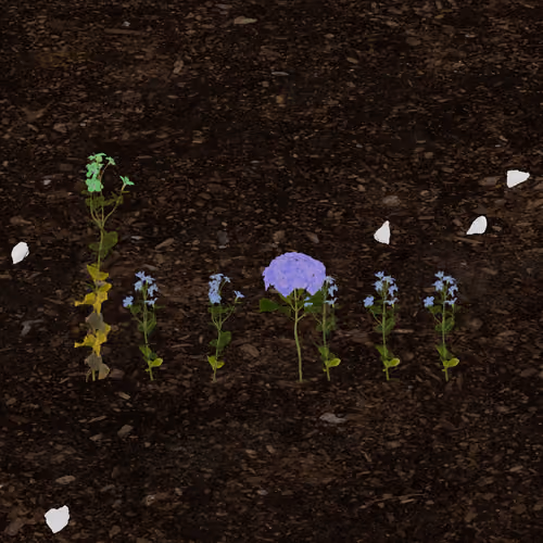zquad.eth's Token Garden