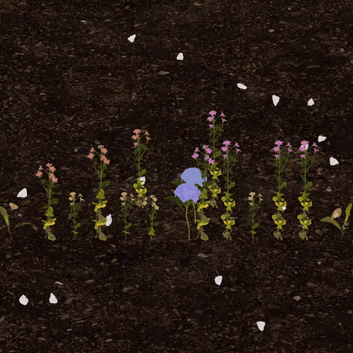 norr1s.eth's Token Garden