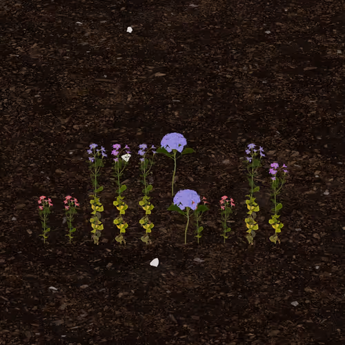 Token Garden