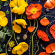 Flower Collage  Art