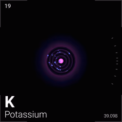 #576 Potassium
