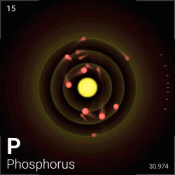#502 Phosphorus