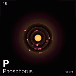 #301 Phosphorus