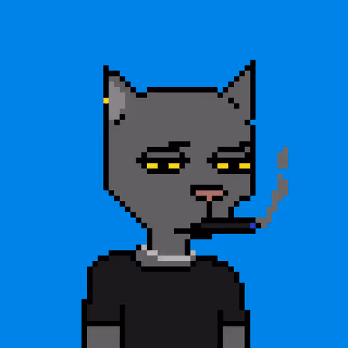 Pixel Cat Gang Official