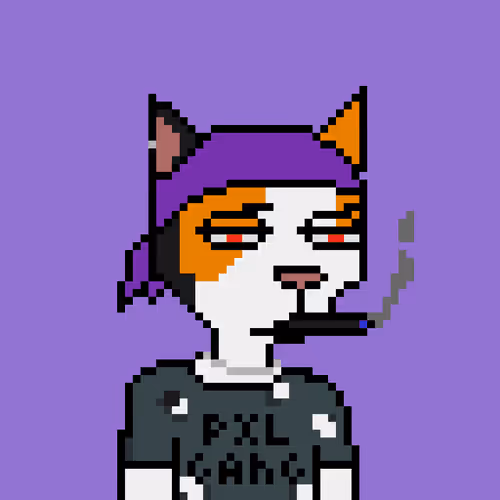 Pixel Cat Gang #374