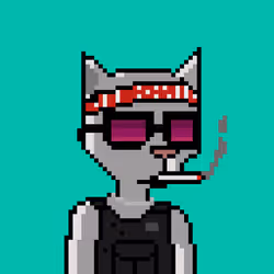 Pixel Cat Gang #1259