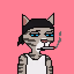 Pixel Cat Gang #47