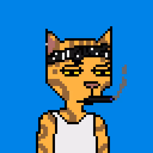 Pixel Cat Gang Official