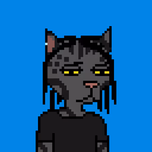 Pixel Cat Gang Official