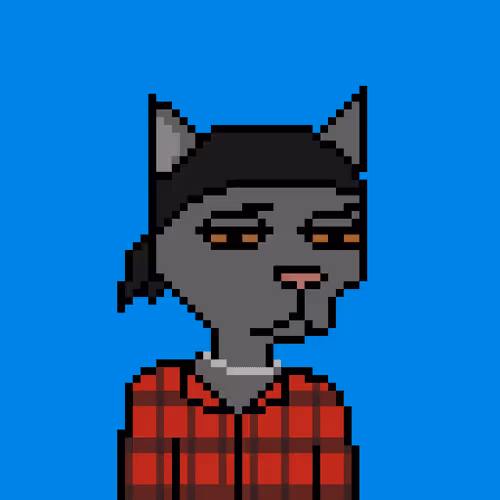 Pixel Cat Gang Official