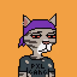 Pixel Cat Gang #263