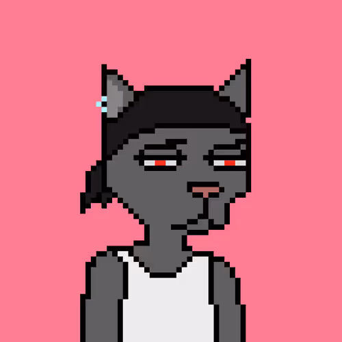 Pixel Cat Gang Official