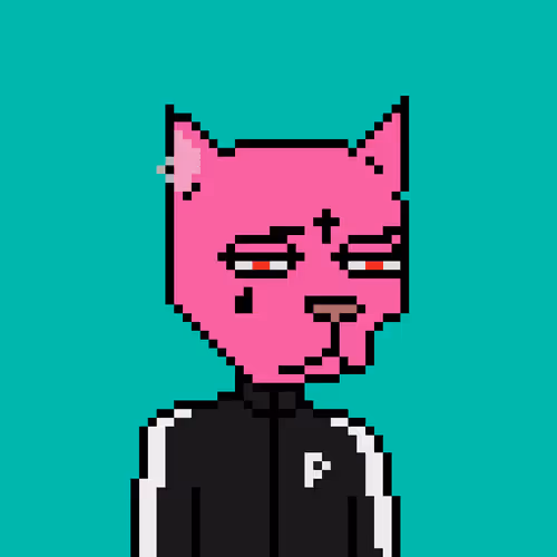 Pixel Cat Gang Official