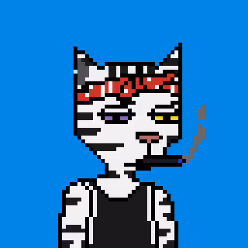 Pixel Cat Gang Official
