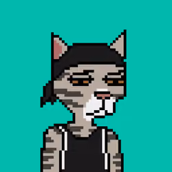 Pixel Cat Gang #1581