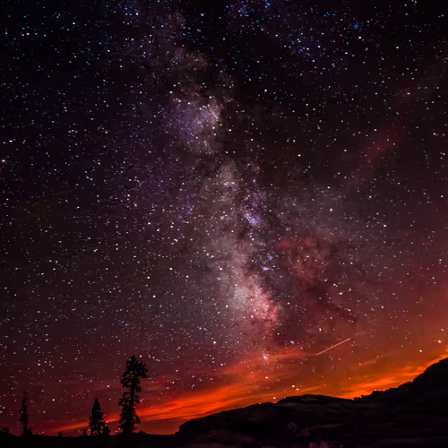 ixnayokay photography