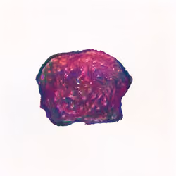 Pebble #1367