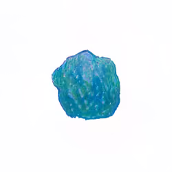 Pebble #507