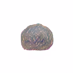 Pebble #1410