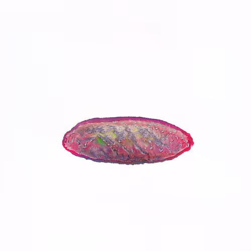 Oilyspebbles