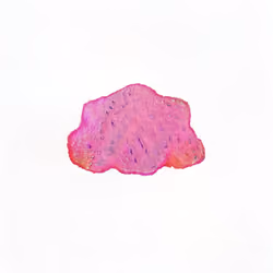 Pebble #1140
