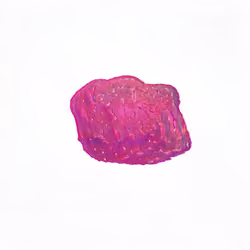 Pebble #1095