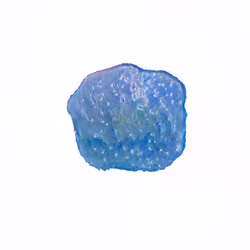 Pebble #1716