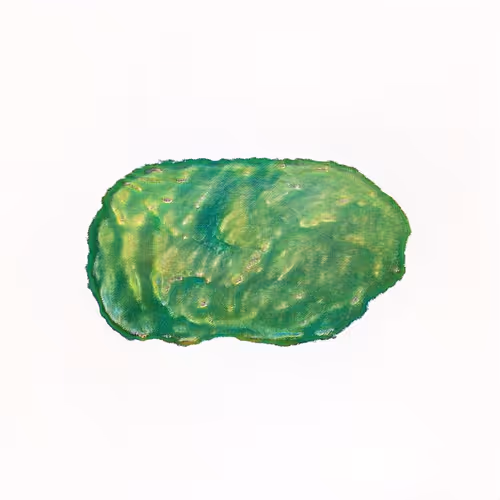 Oilyspebbles