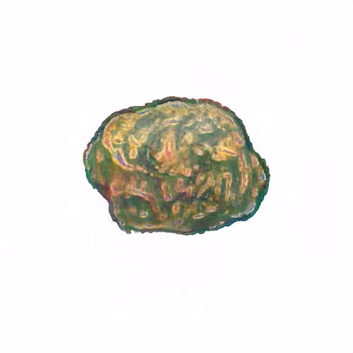 Pebble #1407