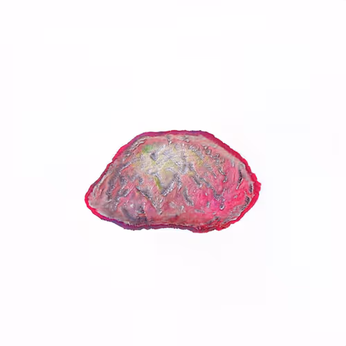 Oilyspebbles
