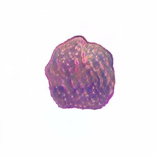 Pebble #387