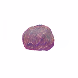 Pebble #1031