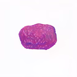 Pebble #630