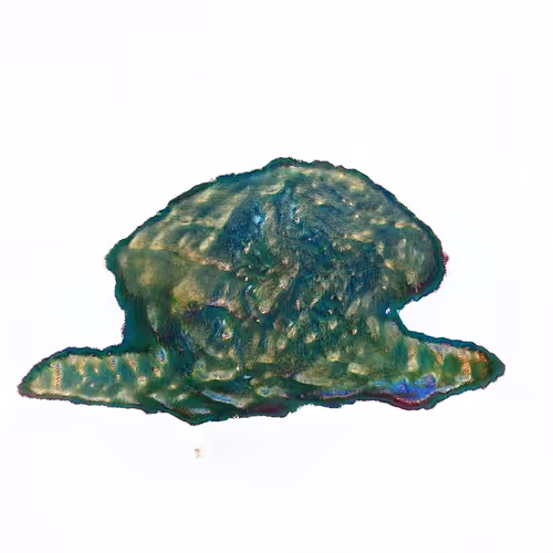 Oilyspebbles