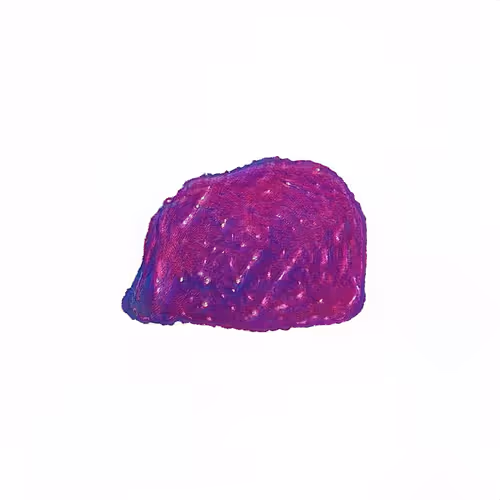 Item #1082 Media
