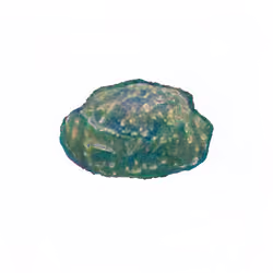 Pebble #1683