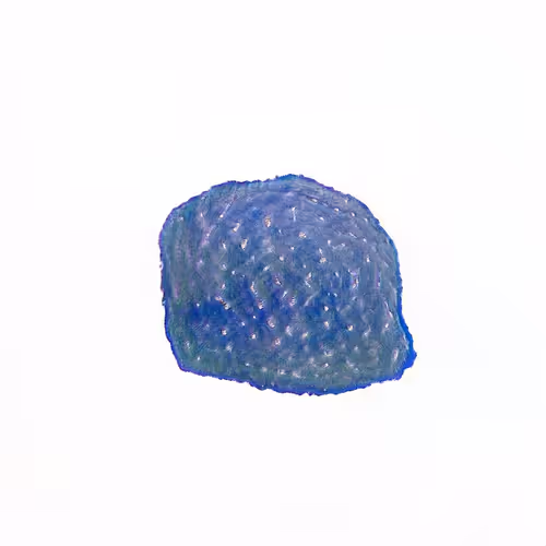 Oilyspebbles