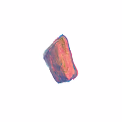 Pebble #49