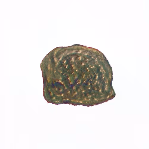 Pebble #680