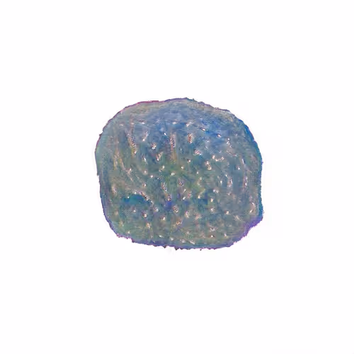 Oilyspebbles