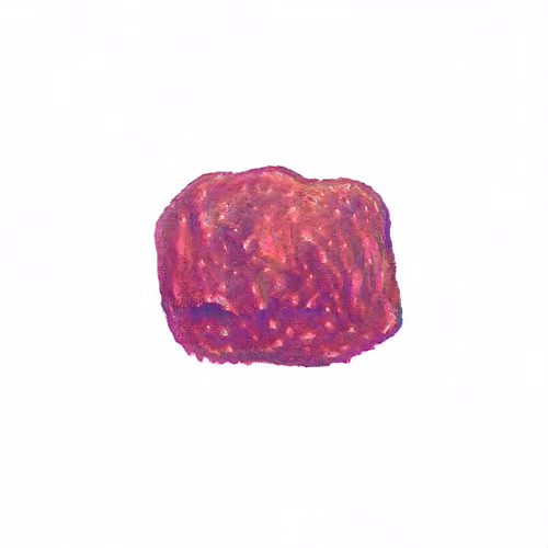 Pebble #169