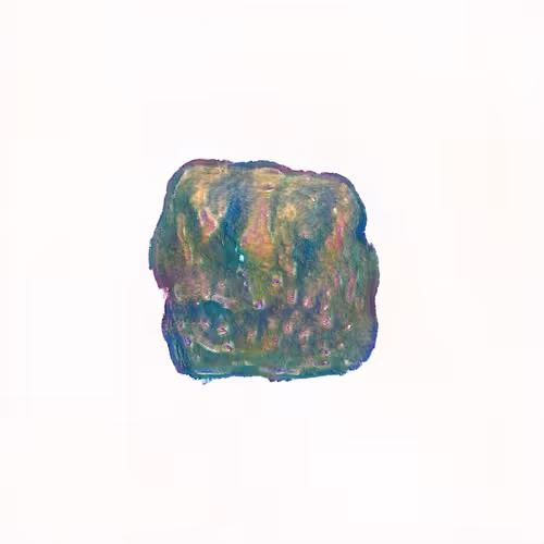 Item #38 Media