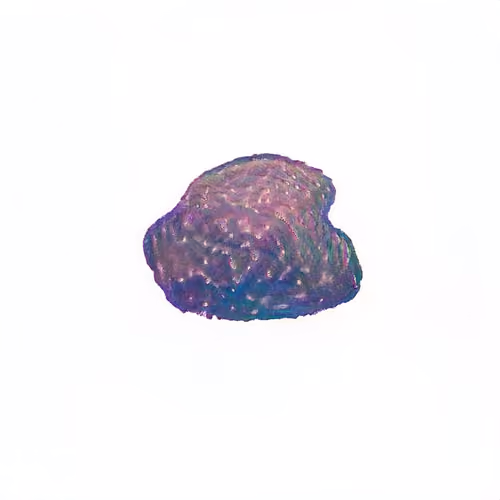 Pebble #1900