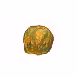 Pebble #26