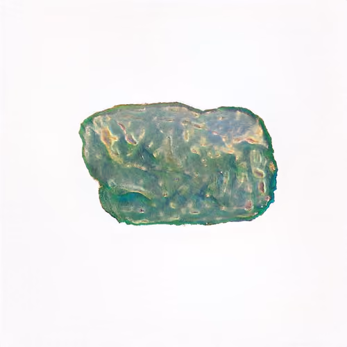 Pebble #1896