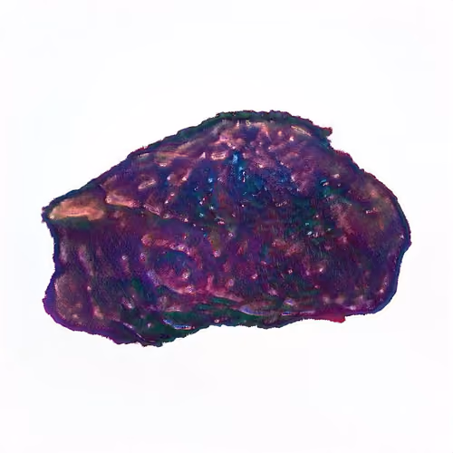 Pebble #447