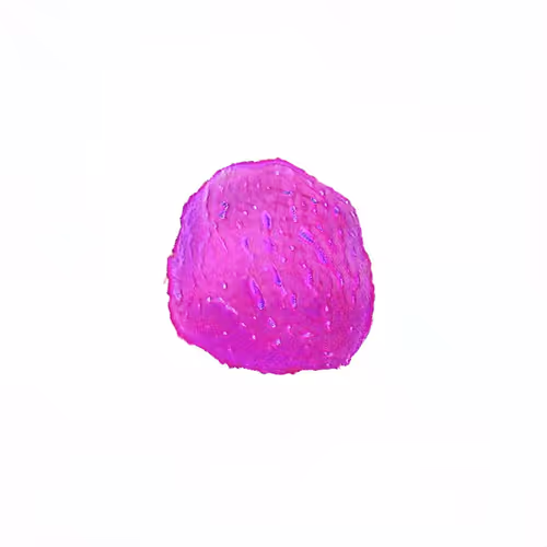 Oilyspebbles
