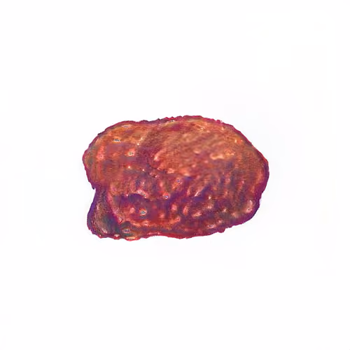 Pebble #438